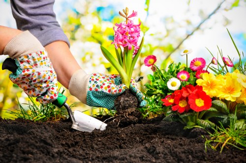 Professional landscapers at work in Tooting Bec