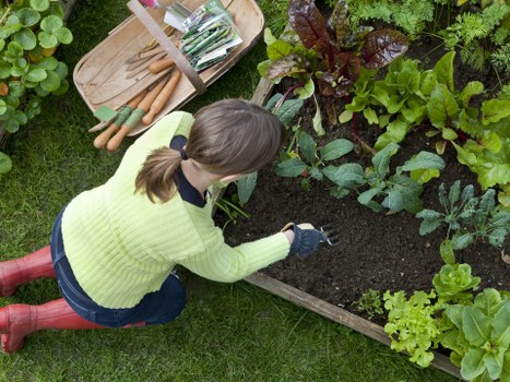 Creative outdoor space with custom garden design by Greencarpet Landscapers.