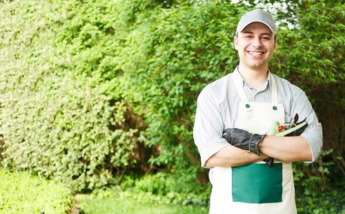 Professional landscaper maintaining a lush garden