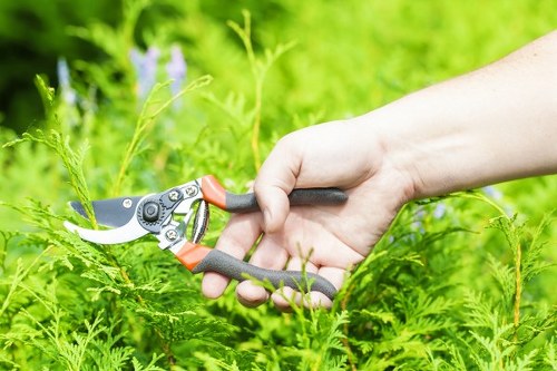 Modern garden maintenance with lush greenery in Crouch End