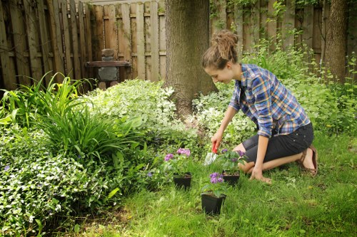 Professional landscapers at work in a Harringay garden