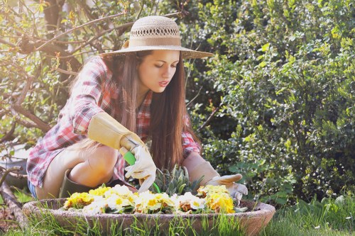 Well-designed outdoor space showcasing Longlands landscaping