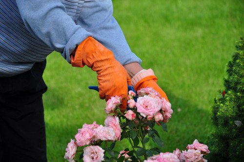 Modern landscaping tools and innovative techniques in action