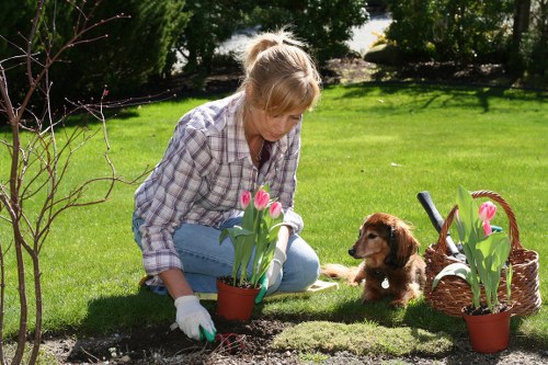 Smart irrigation system installation in a lush Harmondsworth garden