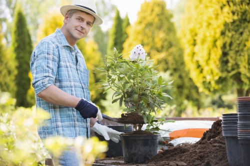 Professional landscaper installing garden features in Belmont