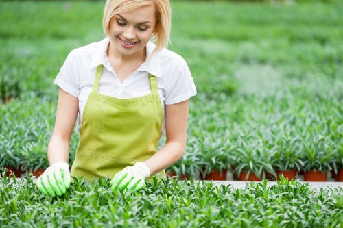 Professional garden maintenance and hardscaping work