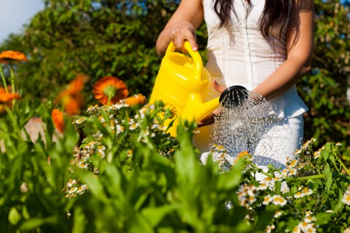 Professional landscapers at work in Walthamstow