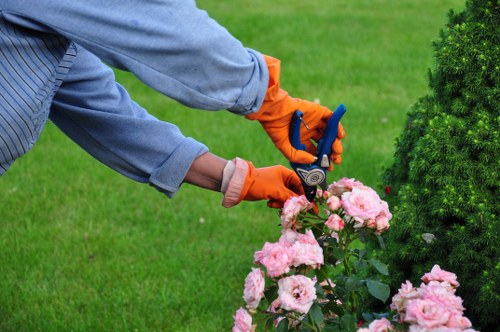 Sustainable and modern landscaping in Marylebone