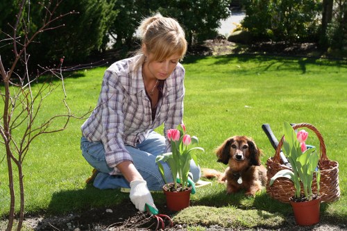 Community park in Wennington showcasing integrated traditional and modern garden design