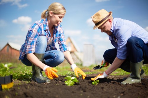 Sustainable garden design with native plants