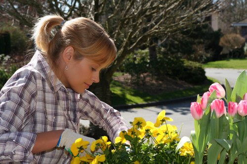 Friendly landscaper assisting with garden design in South Hackney