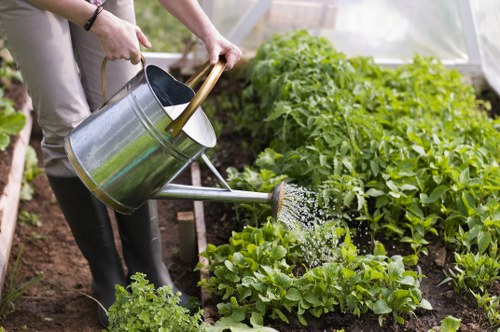 A sustainable green space created by expert Cubitt Town landscapers.