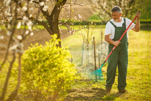 Modern garden maintenance techniques in a Belgravia outdoor space