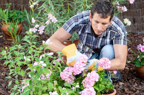 Professional landscapers working in a lush garden