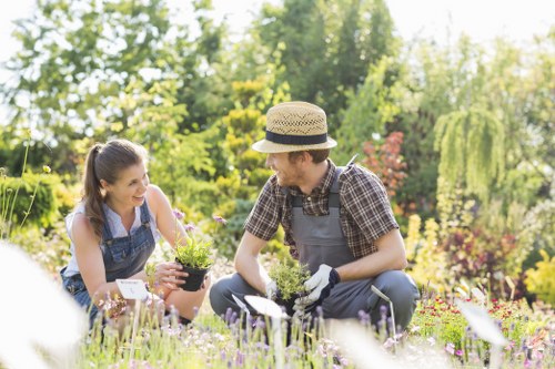 Expert landscapers working on a South Hackney garden