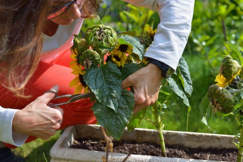 Sustainable garden design at Crossness