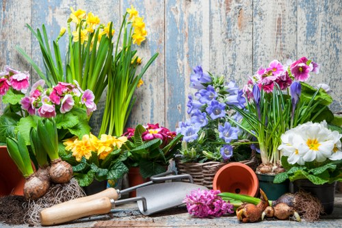 Expert landscapers working on outdoor project