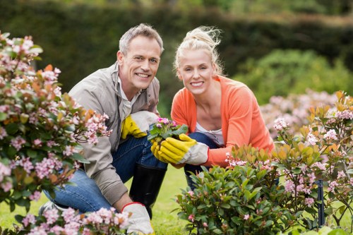 View of a well-maintained lawn and garden by professional landscapers