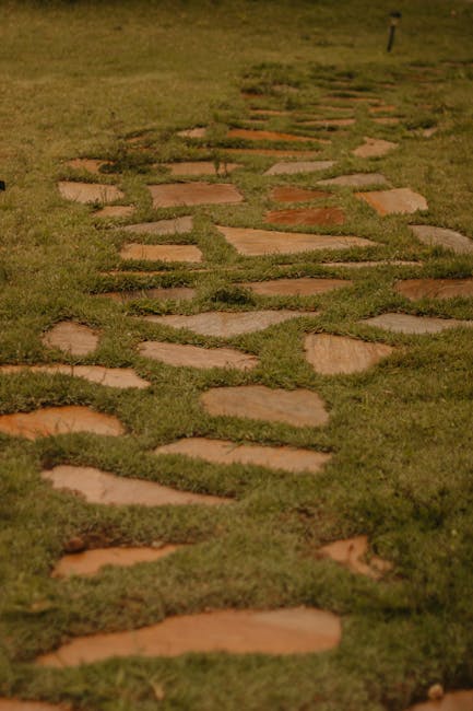 A garden pathway constructed with irregularly shaped flat stones set amidst lush green grass. The stones vary in size and color, predominantly in shades of light tan and reddish-brown, with some parti