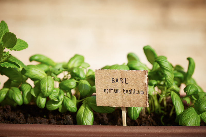 garden property